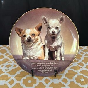 Darby Mint. Faithful Friend. Cherished Chihuahuas. No flaws.